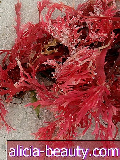 Нові смажені морські водорості, як Бекон, здоровіші, ніж Кале
