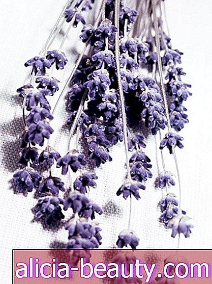 Mengapa Anda Harus Berbau Seperti Lavender untuk Memperoleh Kepercayaan Masyarakat